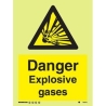 CAUTION EXPLOSIVE GASES HG 20*15