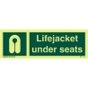 LIFEJACKETS UNDER SEATS IG 25*15