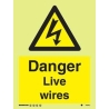 DANGER LIVE WIRES HG 20*15