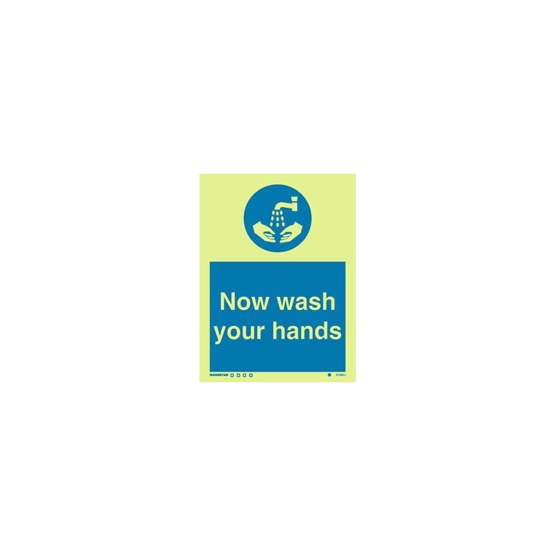 NOW WASH YOUR HANDS HG 20*15