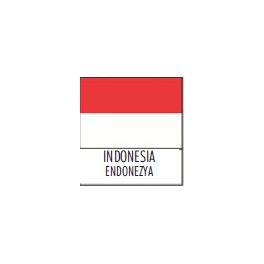 INDONESIA