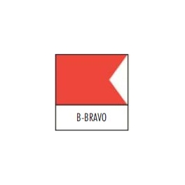 B-BRAVO