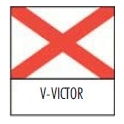 V-VICTOR